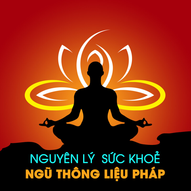 NGUYÊN LÝ  SỨC KHOẺ CỦA NGŨ THÔNG LIỆU PHÁP