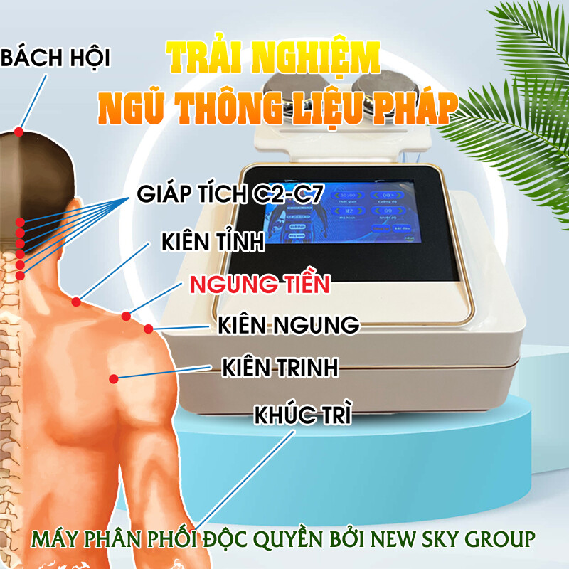 CÁC BƯỚC TRẢI NGHIỆM NGŨ THÔNG LIỆU  PHÁP