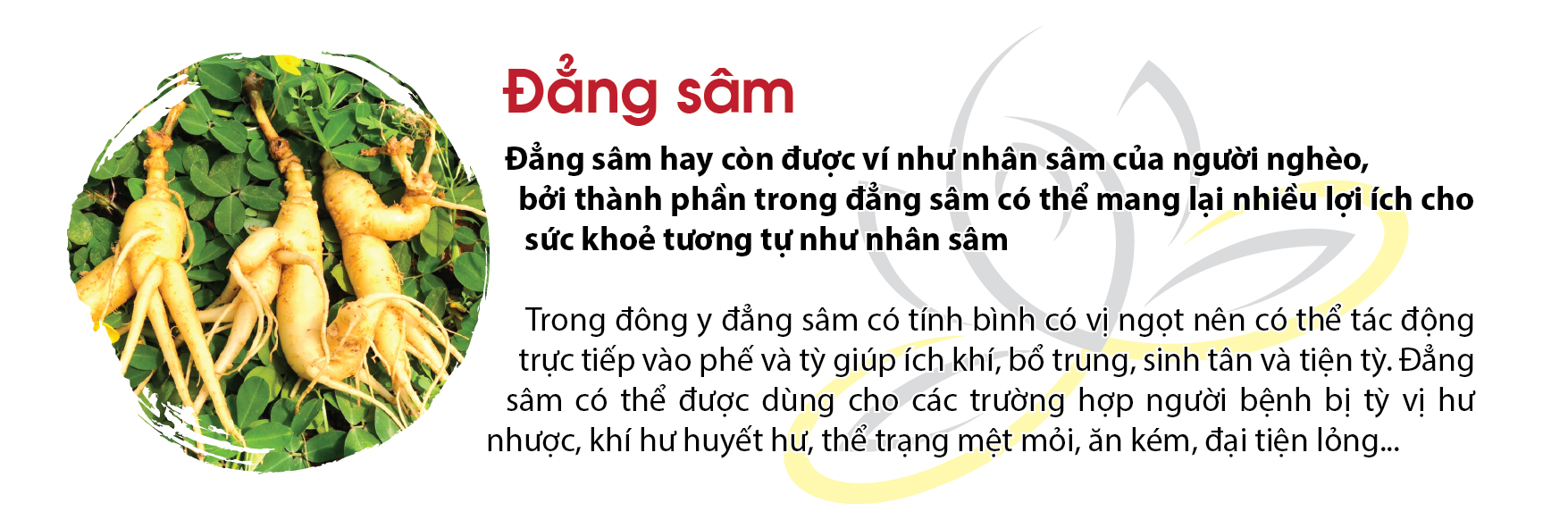 1-dang-sam