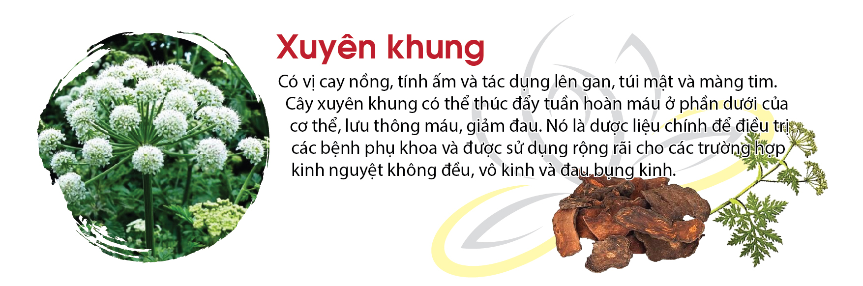 10-xuyen-khung