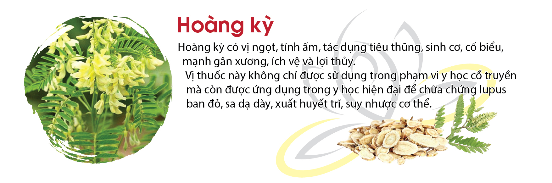 2-hoang-ky