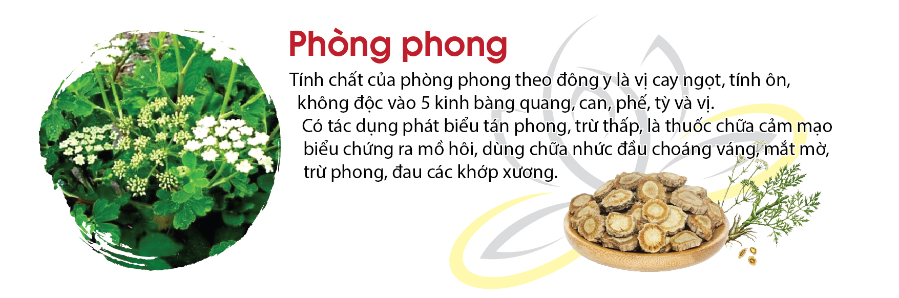 3-phong-phong